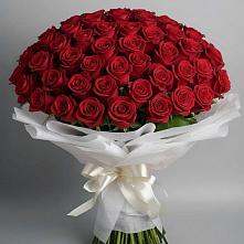 Букет 101 Красная роза Блэк Мэджик в Калуге