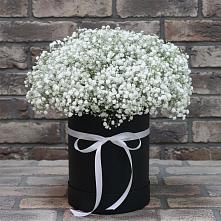 Цветочная композиция из Гипсофила в шляпной коробке в Калуге