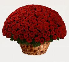 Премиум букет из: Розы в Калуге