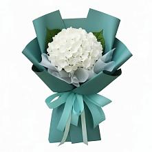 Букет цветов из:  Гортензия в Калуге